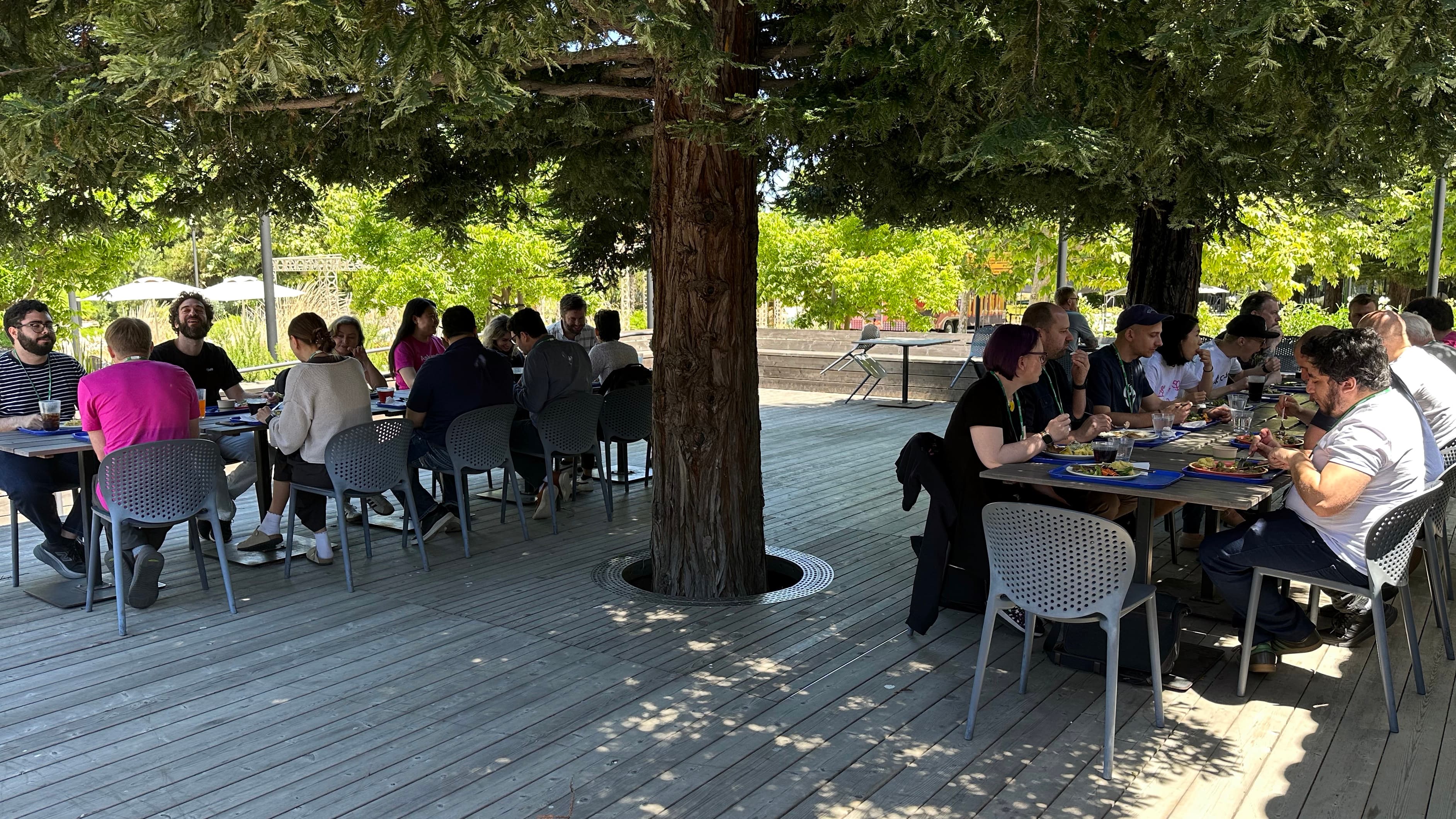 People eating at benches outside under a large tree